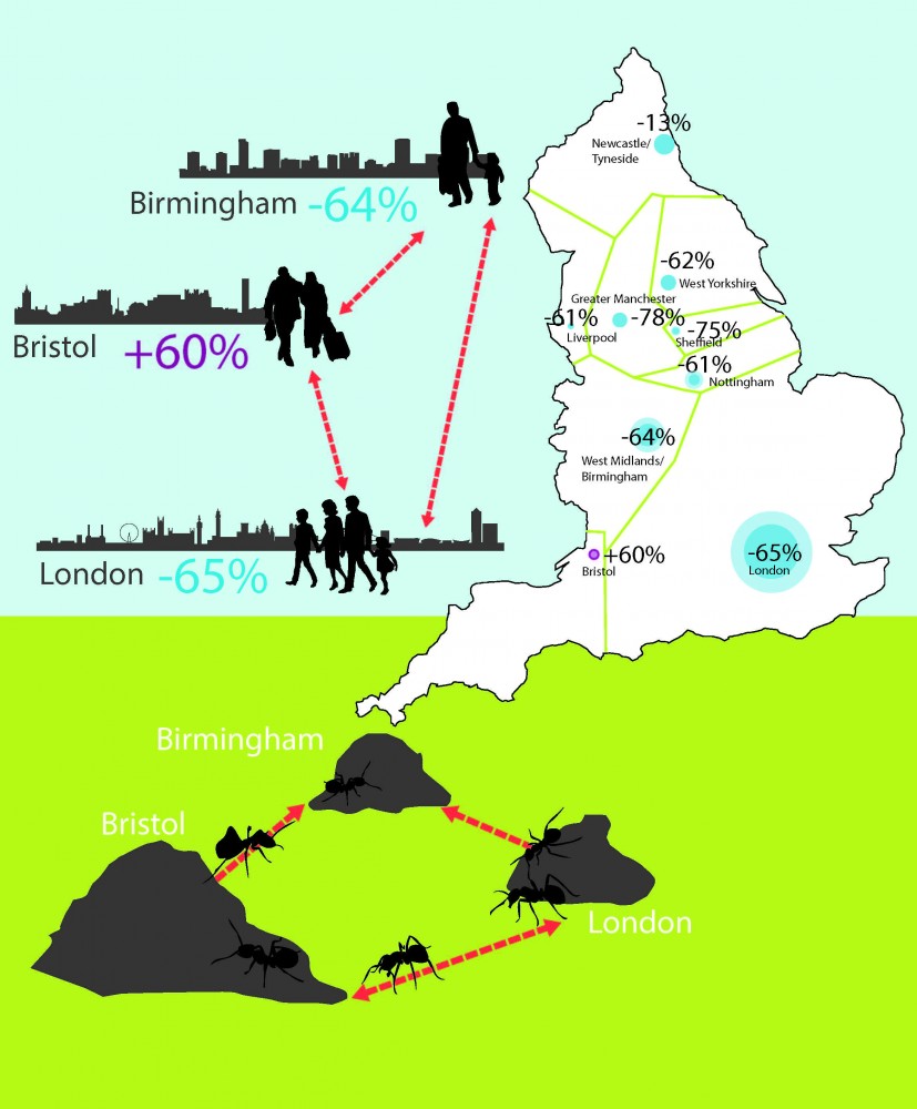 Applying an ant perspective to England